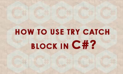 How to use try catch block in c#? | 9Grid blog